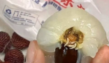 胖東來荔枝打開全是蟲子 始料未及真相簡直太意外了