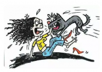 學校回應校內數(shù)只大型犬咬傷學生 始料未及真相簡直太意外了