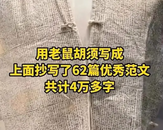 清朝作弊衣上用老鼠須抄了4萬多字 原因竟是這樣太罕見了