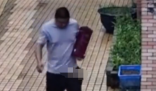 男子被墻角的蛇跳出攻擊 內(nèi)幕實在太可怕了