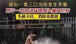 夫妻吵架男子用頭撞欄桿被卡 真相曝光簡直太驚人了