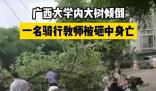校方回應教師被樹砸中身亡 真相曝光簡直太驚人了
