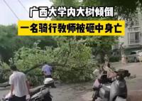 校方回應教師被樹砸中身亡 真相曝光簡直太驚人了