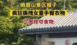 女童被峨眉山猴子撕拽搶奪食物 真相曝光簡直太驚人了