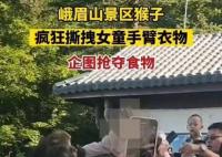 女童被峨眉山猴子撕拽搶奪食物 真相曝光簡直太驚人了