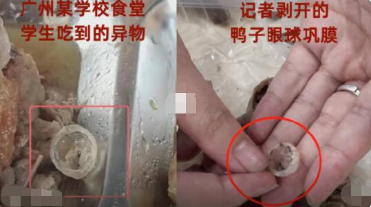記者解剖鴨頭剝出鞏膜:反光質(zhì)感 真相曝光簡直太驚人了