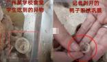 記者解剖鴨頭剝出鞏膜:反光質(zhì)感 真相曝光簡直太驚人了