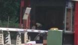 男子當街殺妻被刑拘 死者被刺20多刀 真相揭露真的令人大吃一驚