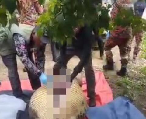 老人失蹤4天在鱷魚胃中發現遺骸 真相離奇讓人直呼太意外