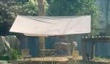 重金懸賞與虎同住的動物園被罰 真相揭露真的令人大吃一驚
