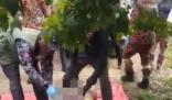 老人失蹤4天在鱷魚胃中發現遺骸 真相離奇讓人直呼太意外