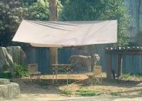 重金懸賞與虎同住的動物園被罰 真相揭露真的令人大吃一驚