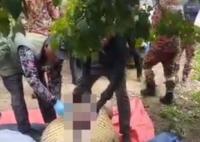 老人失蹤4天在鱷魚胃中發現遺骸 真相離奇讓人直呼太意外
