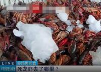 成噸死龍蝦疑似被做成蝦尾出售 真相離譜實在是太荒唐了