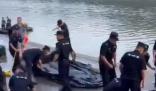 4名學(xué)生下河游泳溺亡 知情人:為慶生 真相到底是什么?
