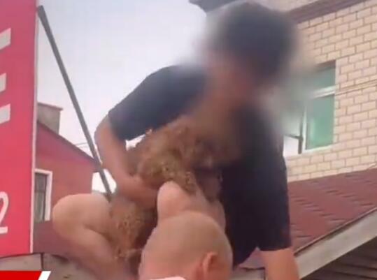 涿州男子獲救后折返找狗被吐槽 真相揭露真的令人大吃一驚