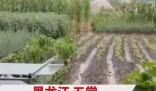 五常大米產(chǎn)地被淹 農(nóng)戶哽咽:全完了 真相實(shí)在是太慘了