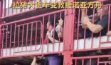 涿州洪災 拉豬大貨車變“諾亞方舟” 照片曝光直接讓人大呼意外