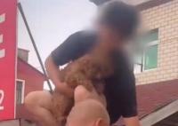 涿州男子獲救后折返找狗被吐槽 真相揭露真的令人大吃一驚