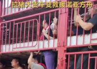 涿州洪災 拉豬大貨車變“諾亞方舟” 照片曝光直接讓人大呼意外