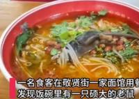 顧客吃面發(fā)現(xiàn)碗里有完整死老鼠 照片曝光直接讓人大呼意外