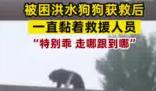 小狗被救后黏上救援隊隊員 真相揭露真的令人大吃一驚