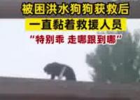 小狗被救后黏上救援隊隊員 真相揭露真的令人大吃一驚