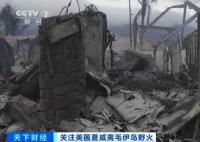 夏威夷山火已致80死 中國(guó)游客講述 原因太出乎意料了 