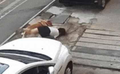 金毛撲倒女子事件雙方已和解 照片曝光實在是太嚇人了