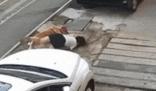 金毛撲倒女子事件雙方已和解 照片曝光實在是太嚇人了