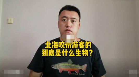 科普博主談北海咬傷游客事件 真相到底是什么?