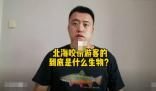科普博主談北海咬傷游客事件 真相到底是什么?