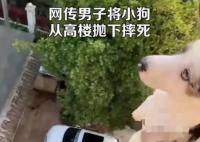 男子將小狗從高樓拋下摔死并炫耀 真相揭露真的令人大吃一驚