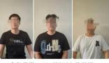 電詐集團懸賞60萬抓捕逃離者 原因揭秘直接讓人傻眼了