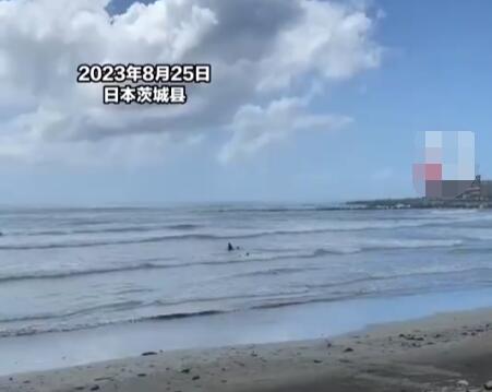 核污水排海后日本人在海里游泳 真相揭露真的令人大吃一驚