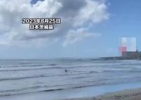 核污水排海后日本人在海里游泳 真相揭露真的令人大吃一驚