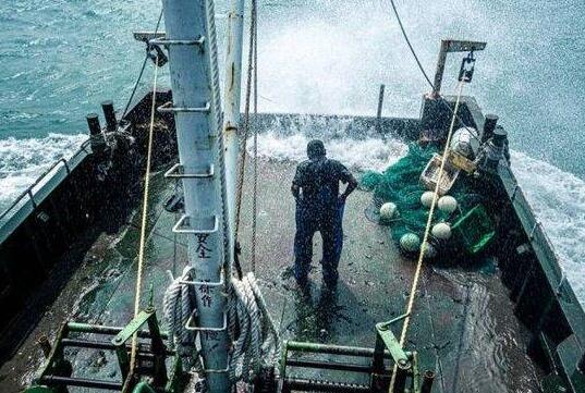 中國漁民:日本把我財路給斷了 真相揭露真的令人大吃一驚