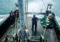 中國漁民:日本把我財路給斷了 真相揭露真的令人大吃一驚