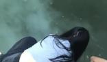 學生洗筆致河水污濁?官方回應 背后原因簡直驚呆了眾人