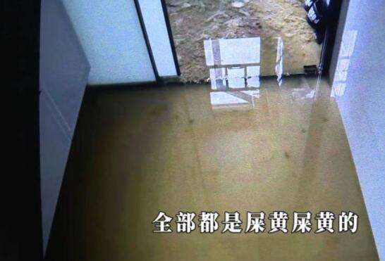 新房五天遭糞水淹兩次 業主崩潰“這日子沒法過了”! 