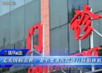 丈夫去世醫院拒絕為妻子胚胎移植 最終法院判決讓人暖心感動