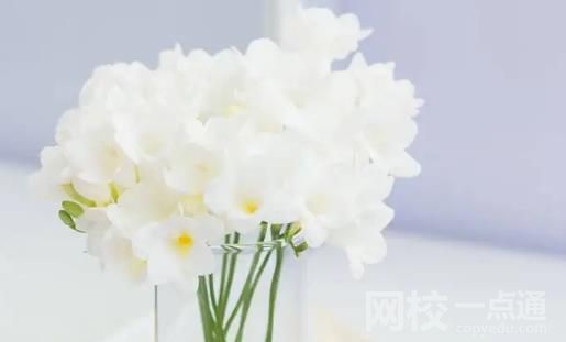 2024年蚌埠工商學院錄取分數線(今年高考所有分數線一覽表參考)