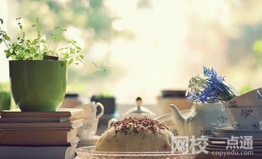 2024年天津海運職業學院錄取分數線(今年高考所有分數線一覽表參考)