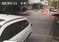 5歲女童小區內玩耍時被碾壓致死 事件始末2024最新消息