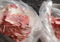老人將積蓄藏土里 不料被蟲吃了 背后真相實(shí)在讓人驚愕