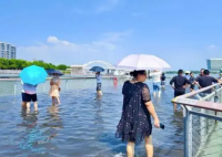 廈門沿海出現(xiàn)天文大潮 這也太好看了吧
