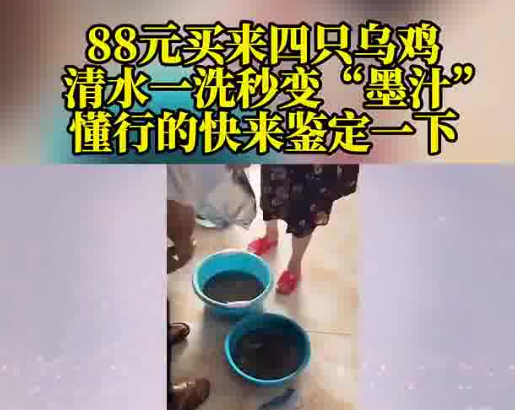 88元網購的4只烏雞洗出一盆黑水 究竟是什么樣的？
