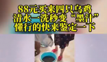 88元網(wǎng)購的4只烏雞洗出一盆黑水 究竟是什么樣的？