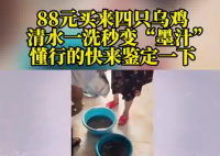 88元網購的4只烏雞洗出一盆黑水 究竟是什么樣的？