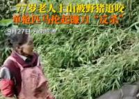 77歲老太被野豬咬傷后將其反殺 背后真相實在讓人驚愕